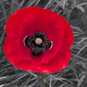 Remembrance Evening