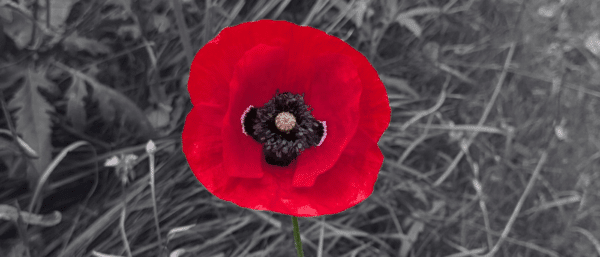 Remembrance Evening
