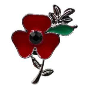 Remembrance poppy pin