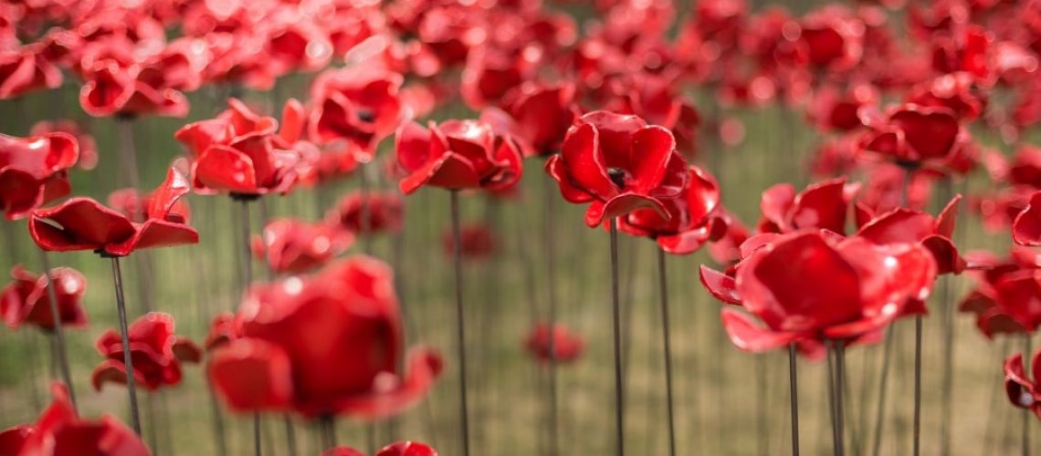 The poppies installation by ceramic artist Paul Cummins, with setting by stage designer Tom Piper, in the dry moat of the Tower of London marks 100 years since the start of the First World War. Volunteers will continue to plant 888,246 ceramic poppies the